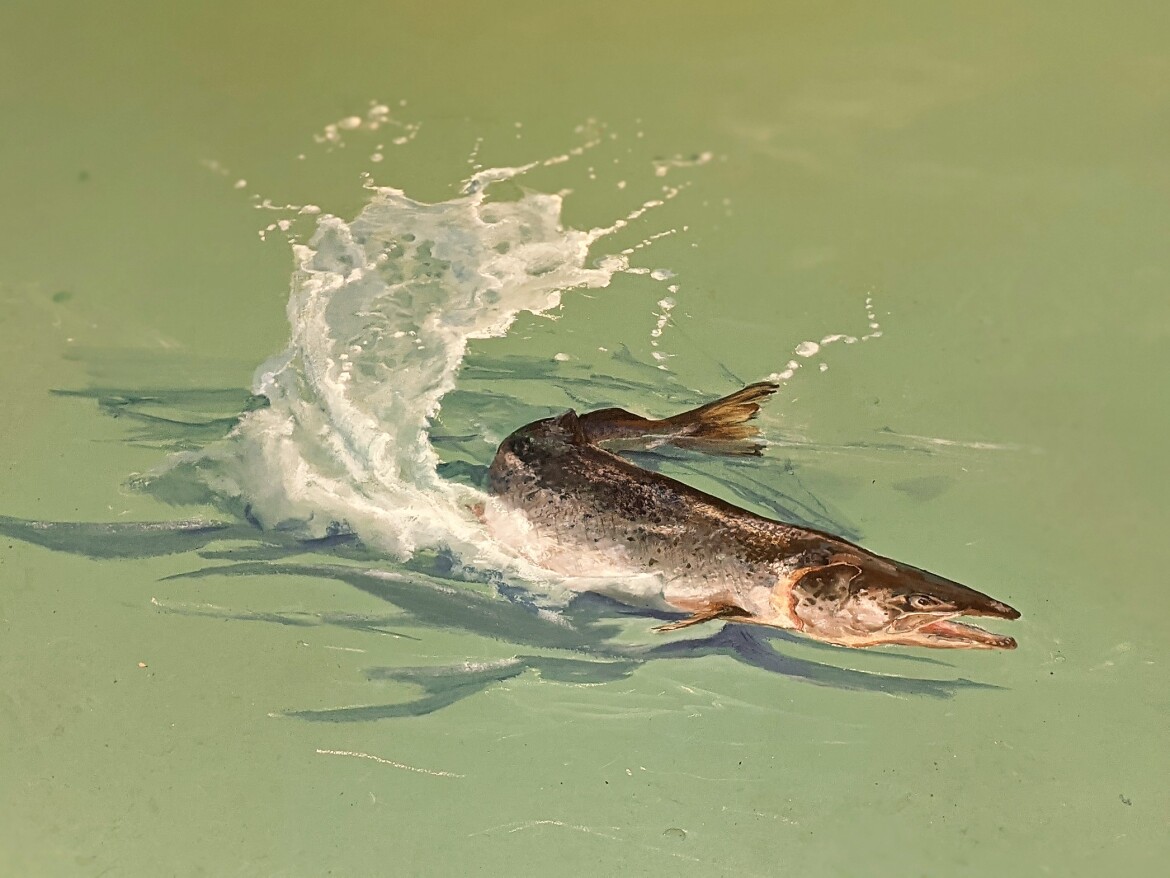 Vloerschildering met een  levensechte zalm in het Zeeuwse Rookhuis...