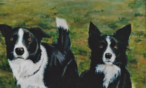 schilderij bordercollies 500€ (2stuks ware grootte).jpg