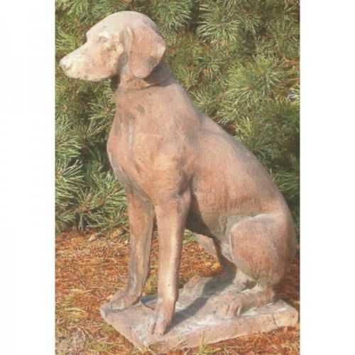 pointer h74x l 48cm 60kg 139€ kleur 290€.jpg